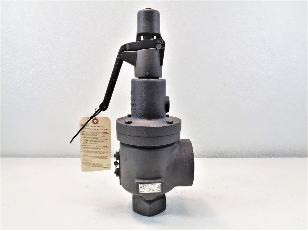 Kunkle 2" X 3" Pressure Relief Valve 6252AKH01-KS